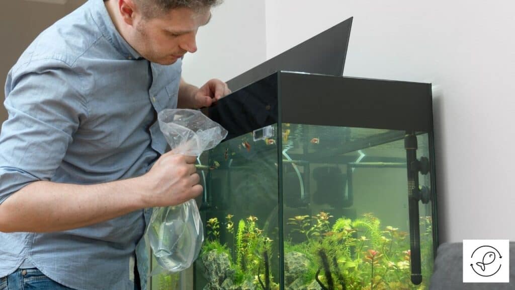 Image of a man setting up a new fish tank