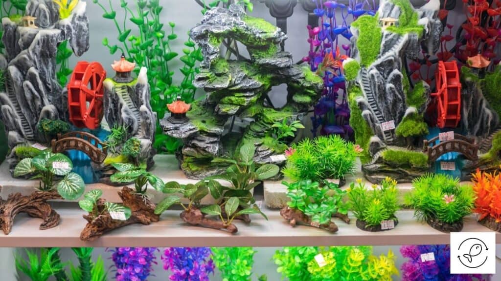Image of an aquarium with expensive decorations
