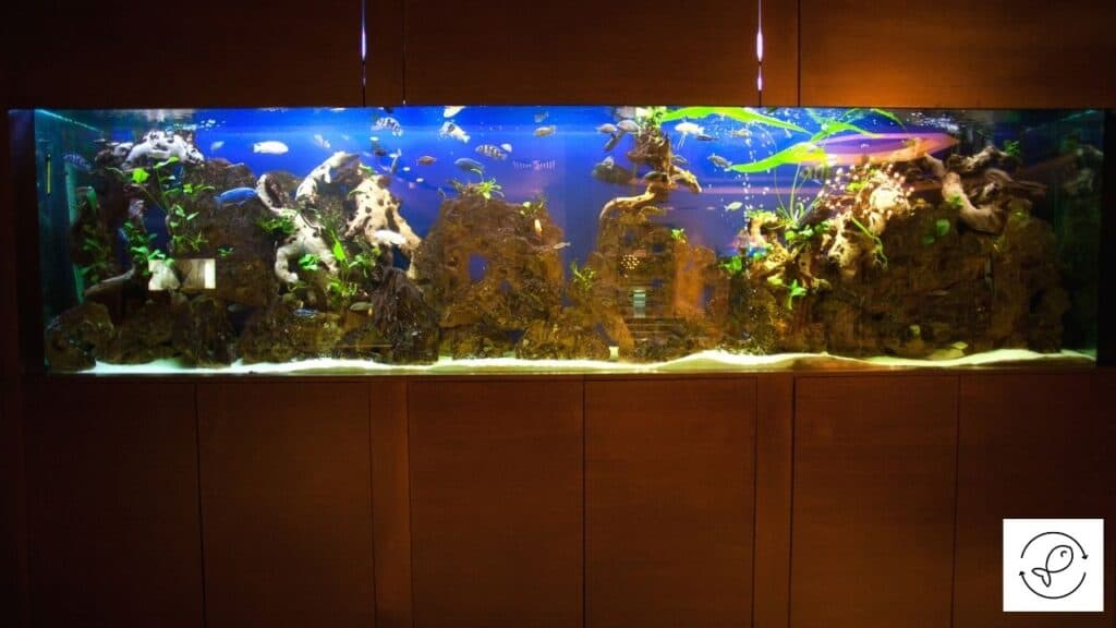 Image of an aquarium with a heater outside it
