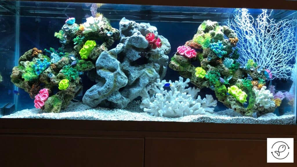 Aquarium with proper lighting