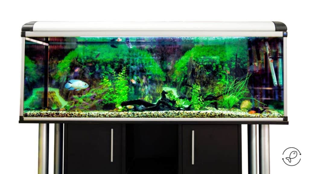 DIY Aquarium Stand