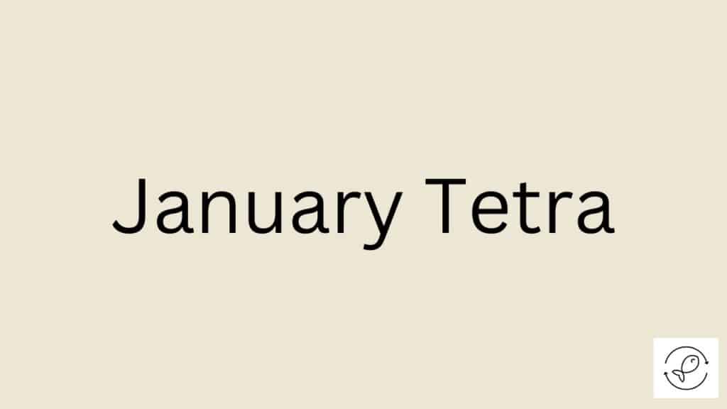 January Tetra Featured Image