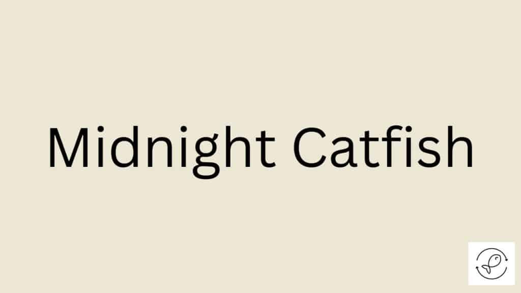 Midnight Catfish Featured Image