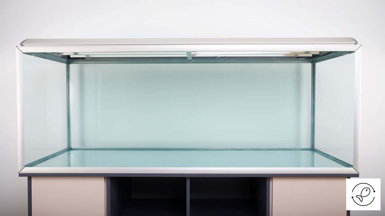 Aquarium Stands (The Complete Guide)