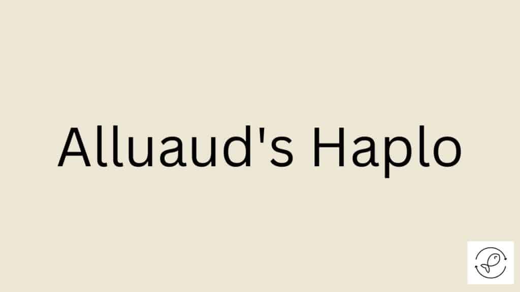 Alluaud's Haplo Featured Image