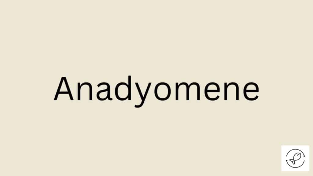 Anadyomene Featured Image