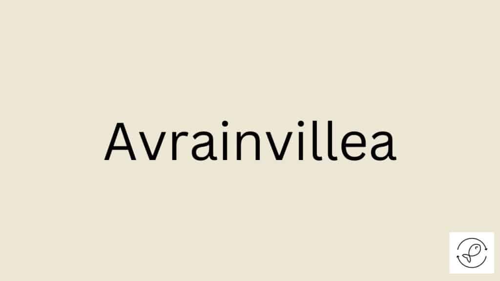 Avrainvillea Featured Image