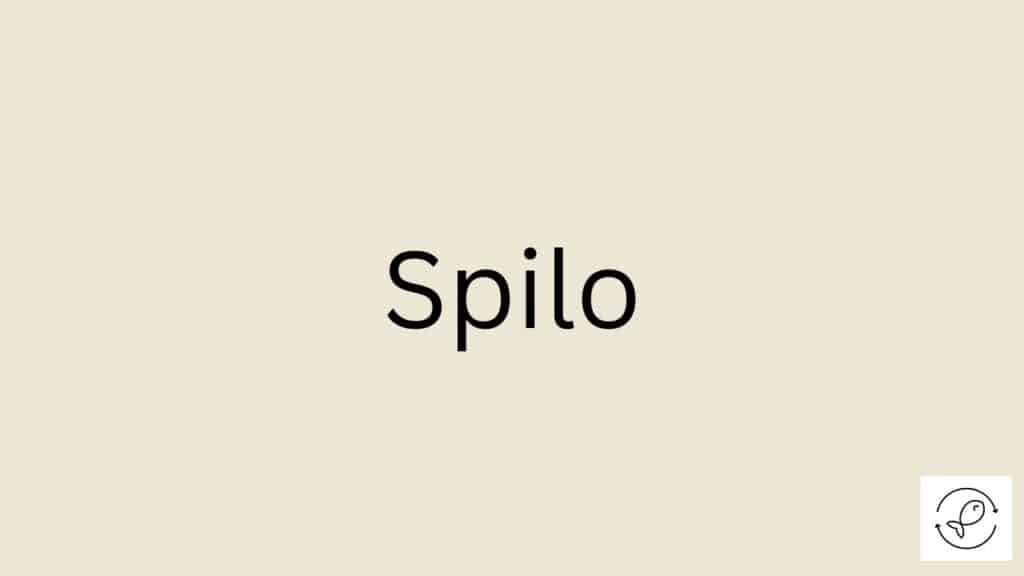 Spilo Featured Image