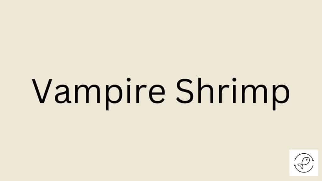 Vampire Shrimp Featured Image