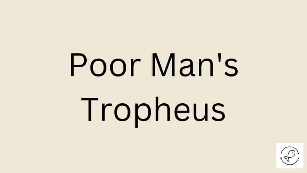 Poor Man's Tropheus