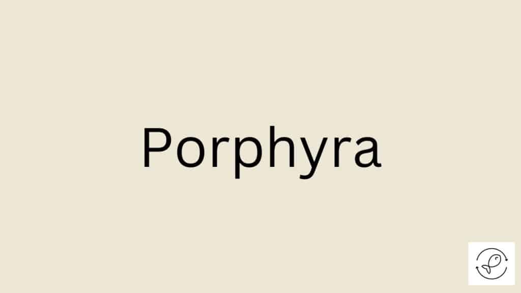 Porphyra Featured Image