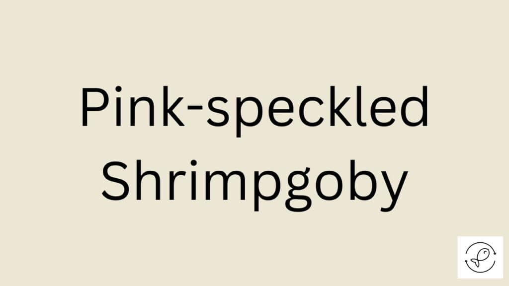 Pink-speckled Shrimpgoby Featured Image