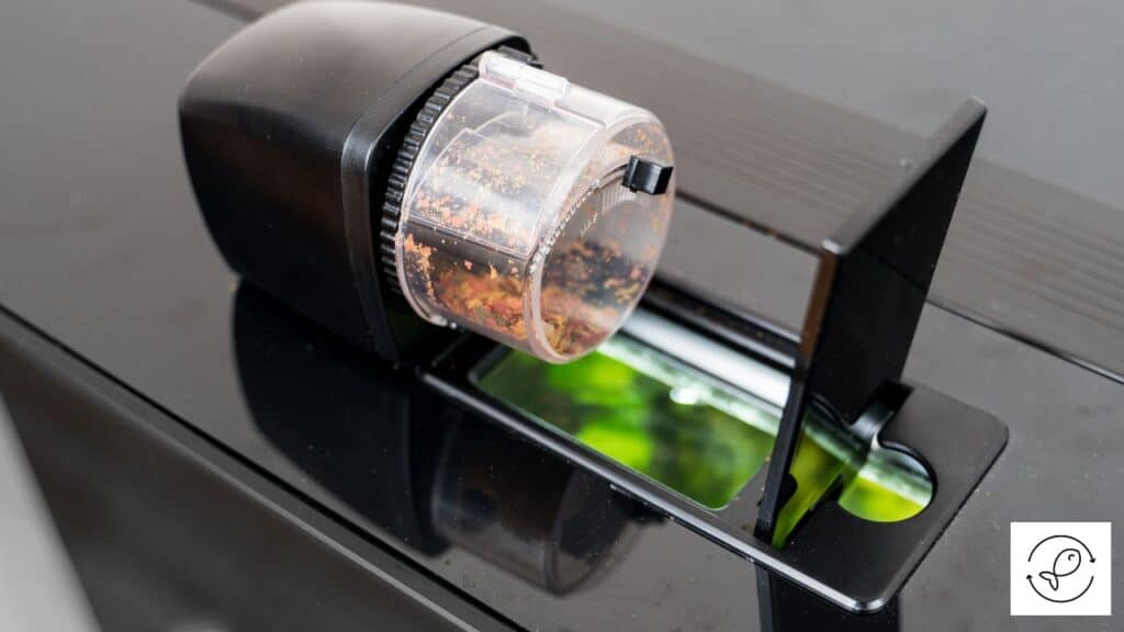 Automatic Fish Feeder