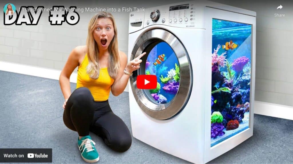Fish tank in washing machine