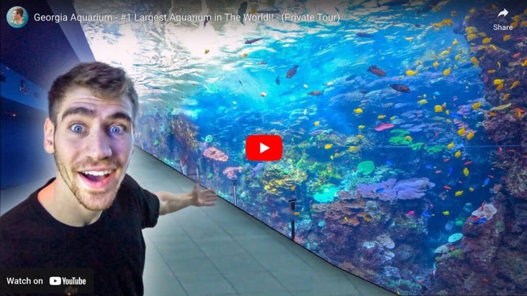 Georgia aquarium