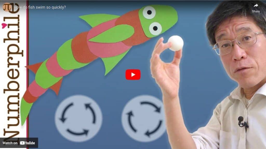 How fish swim explained