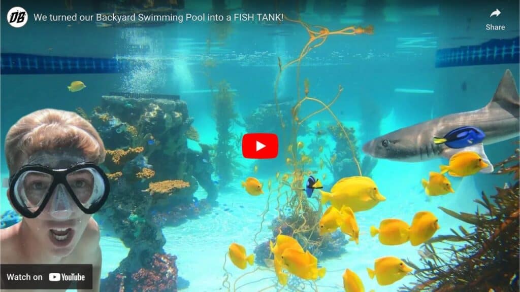 Turning swimming pool into fish tank