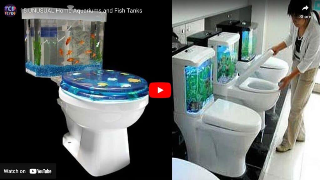 Unusual fish tanks