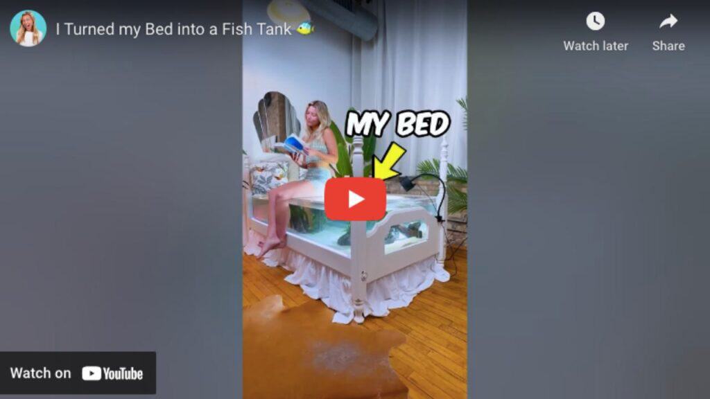 bed fish tank