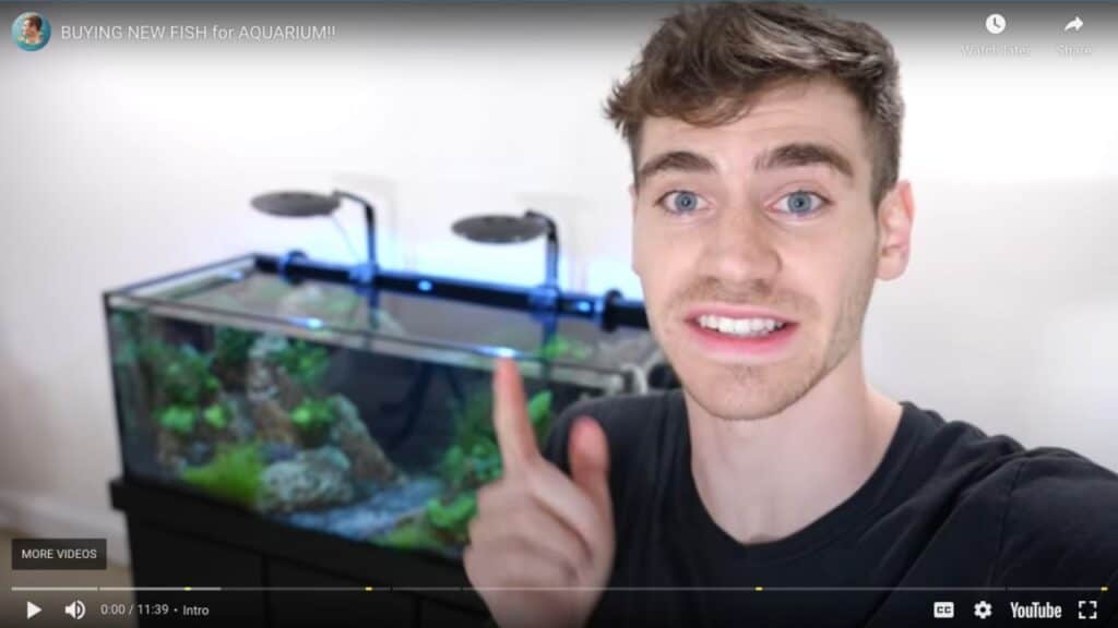 new fish in 100 gallon tank