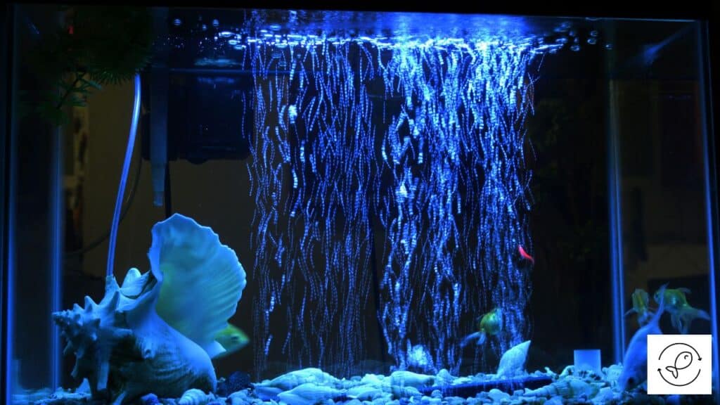 fish tank with light